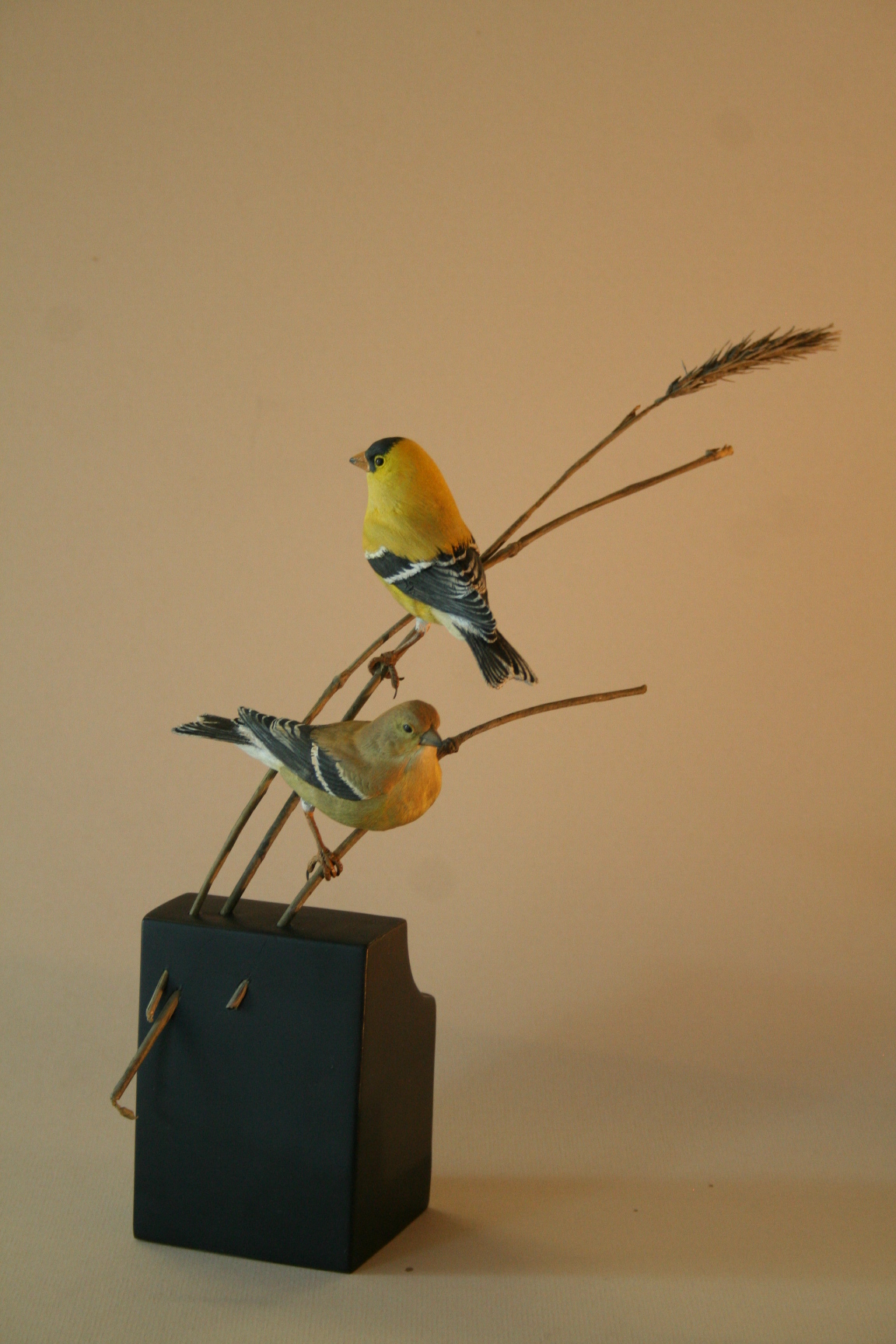 goldfinch pair 002